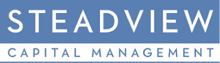 Steadview logo